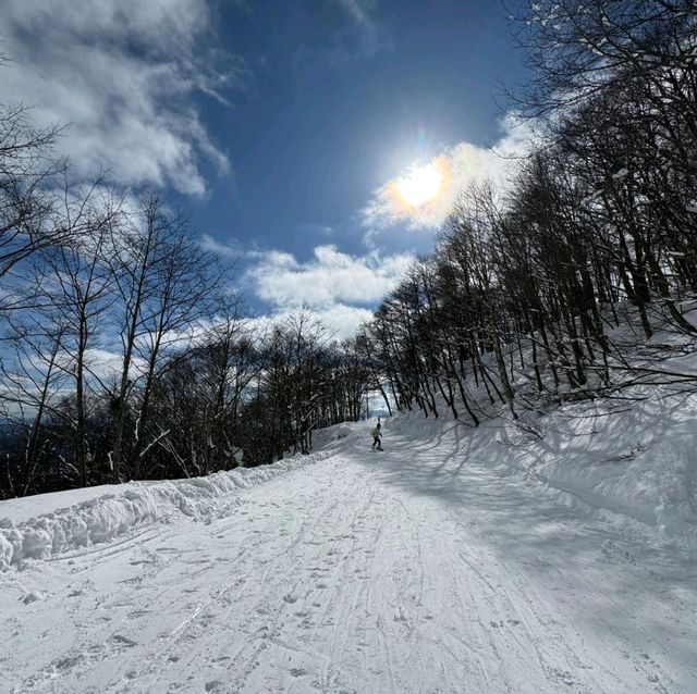 鹿島槍滑雪場：首次滑雪好選擇