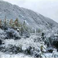 Snow @ Siguniangshan