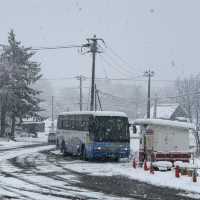 北海道豐平峽♨️雪中泡湯賞楓