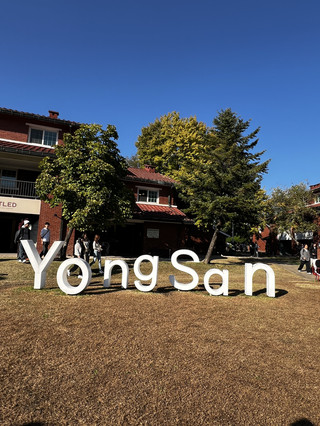 龍山秋季氣氛熱門拍照區
