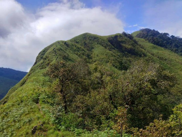 พิชิตหัวใจแห่งขุนเขา ปิตุ๊โกร ⛰️
