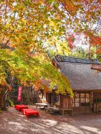 【奈良】タイムスリップしたような古民家カフェ×紅葉