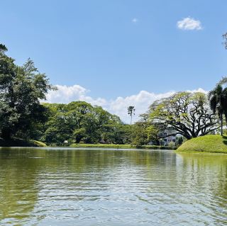 大自然之美與永恆魅力：我在太平湖濱公園的一天！