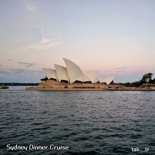 호주 디너 크루즈🇦🇺