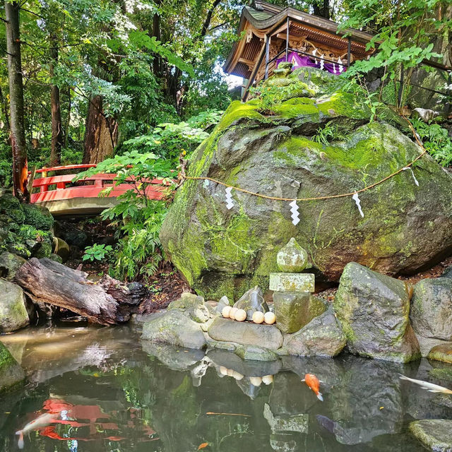水天宮🐲歷史的韻味！⛩️✨