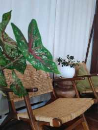Banlay Home Cafe เที่ยวคาเฟ่พัทยา 