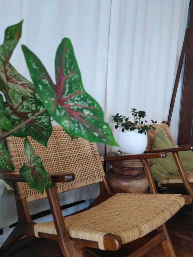 Banlay Home Cafe เที่ยวคาเฟ่พัทยา 