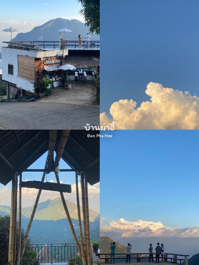 9 พิกัดที่เที่ยวเชียงราย | ฤดูหนาว 🏡⛰️🌿🌼