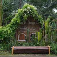 คาเฟ่บ้านไม้กลางป่าสุดกรีน