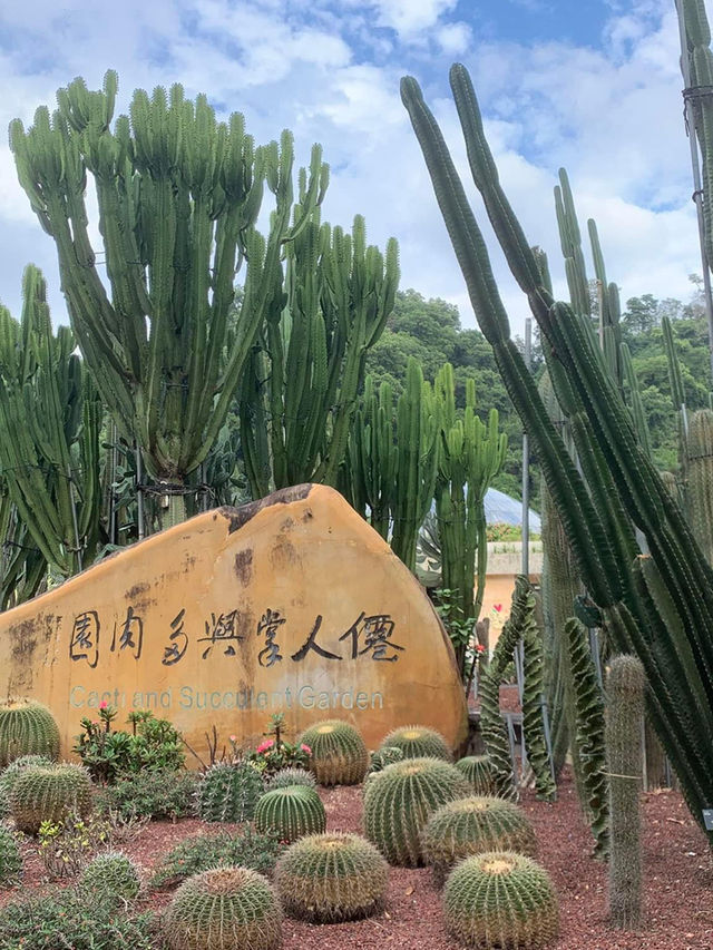 深圳一日遊行程推介💝仙湖植物園❗️網紅必去打卡點