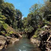 A Hidden Gem in Bali: Nukad Tampaksiring