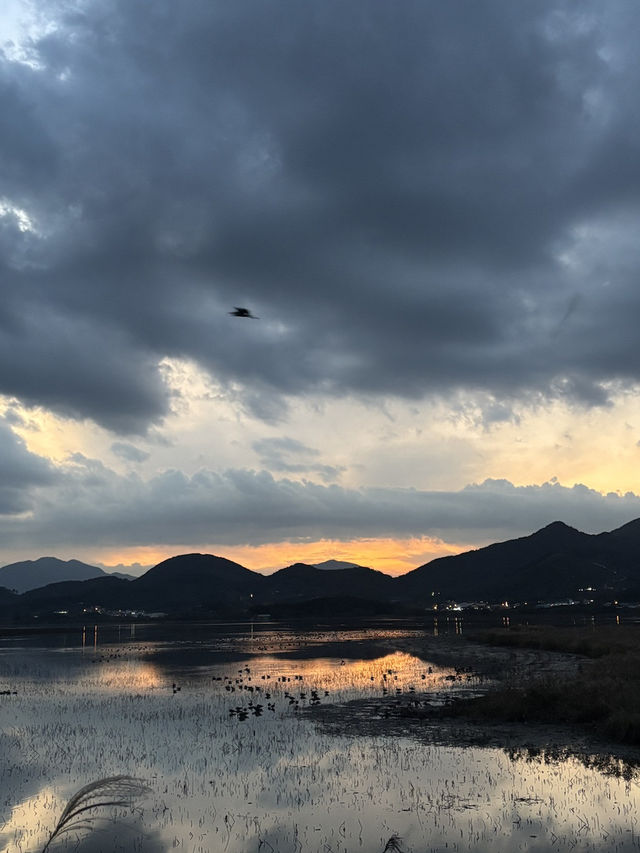 가을 국내여행지 추천🍁