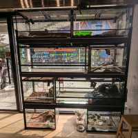 邊喝咖啡、邊抱蛇、邊摸象龜！超有趣的爬蟲友善店：爬寵咖啡