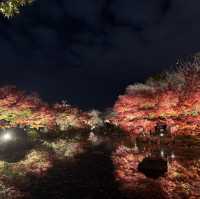 怎能抗拒「東寺夜楓」的倒影😍