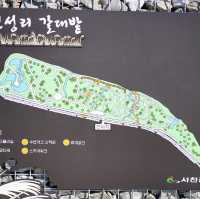 서천 가볼만한 곳