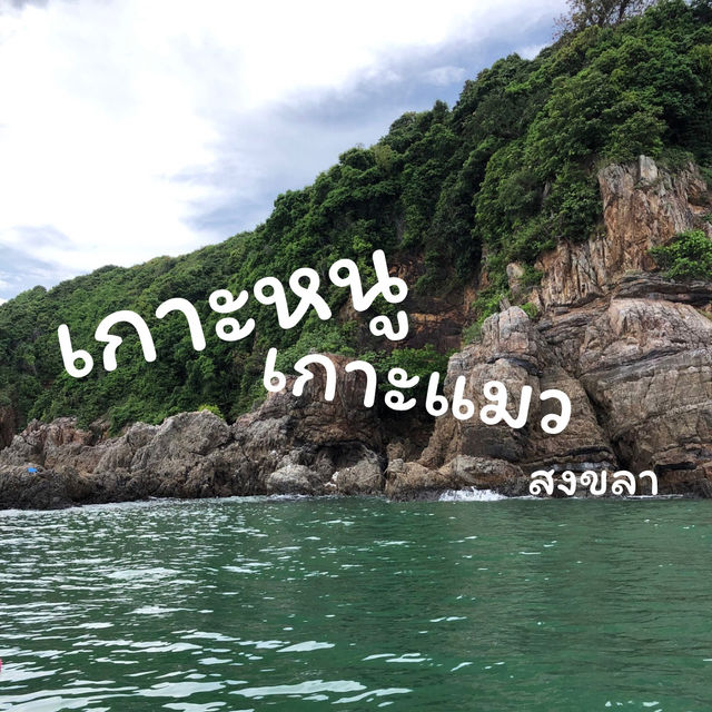 เกาะหนูเกาะแมว สงขลา
