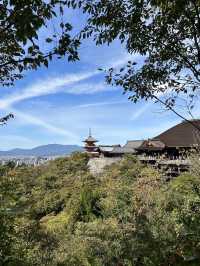 พาตะลอนวัดน้ำใส✨ Kiyomizu-dera