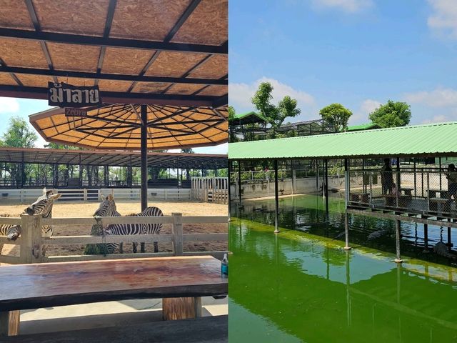 ศรีอยุธยา ไลอ้อน ปาร์ค: สวนสัตว์ซาฟารีในอยุธยา