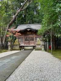 【栃木　宇都宮二荒山神社】