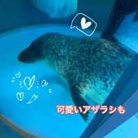 動物に癒されよう！のんほいパーク(豊橋総合動植物公園）