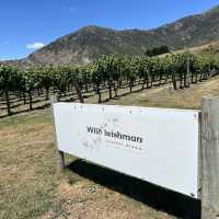 Wine Valley Tour and Excellent E-bikes! 