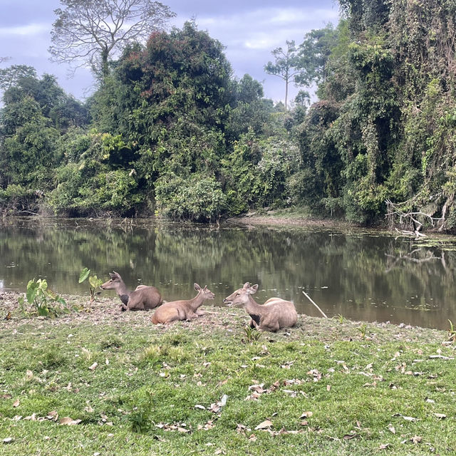 Khao Yai national park