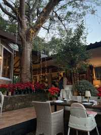 Terra ร้านดินเนอร์หรู บรรยากาศดีที่เชียงใหม่🍸🌲