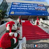 【フランス🇫🇷カンヌ】オフシーズンのカンヌの楽しみ方