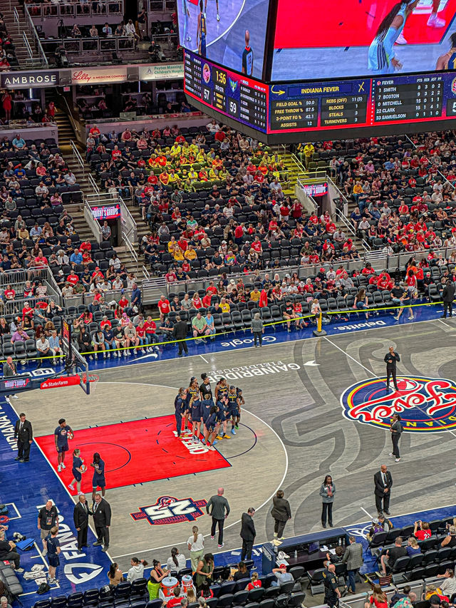 미국 여자농구 직관, WNBA