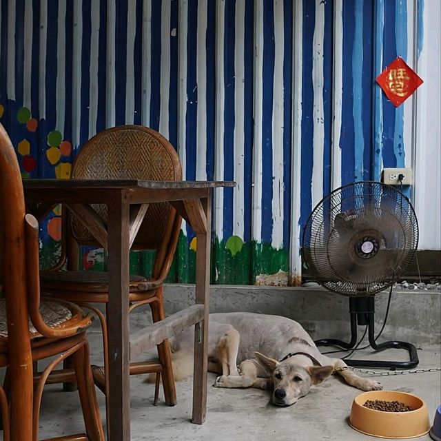台灣台東_台澢號 Taitung Tea House_必吃 都蘭衝浪冰