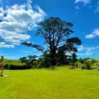 Hobbiton is a stunning destination in its own right