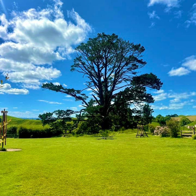 Hobbiton is a stunning destination in its own right