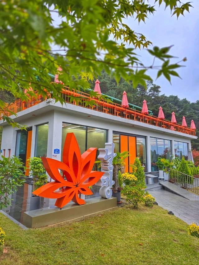 야외정원이 예쁜 무주 역대급 단풍카페🧡