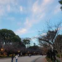 Ueno Onshi Park