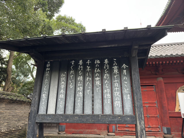 東京 - 在增上寺的感動旅程 🌸