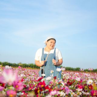 A Trip to Monkey City: Exploring the Cosmos Flower Fields.