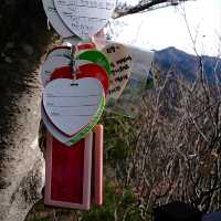 韓國大邱_ 必訪 팔공산 케이블카八公山纜車_享受楓紅黃杏 山巒間