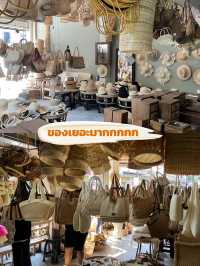 หวายน้ำผึ้ง ช้างม่อย