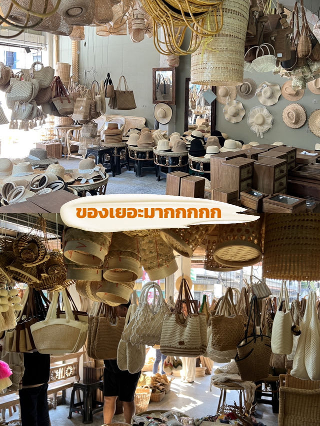 หวายน้ำผึ้ง ช้างม่อย