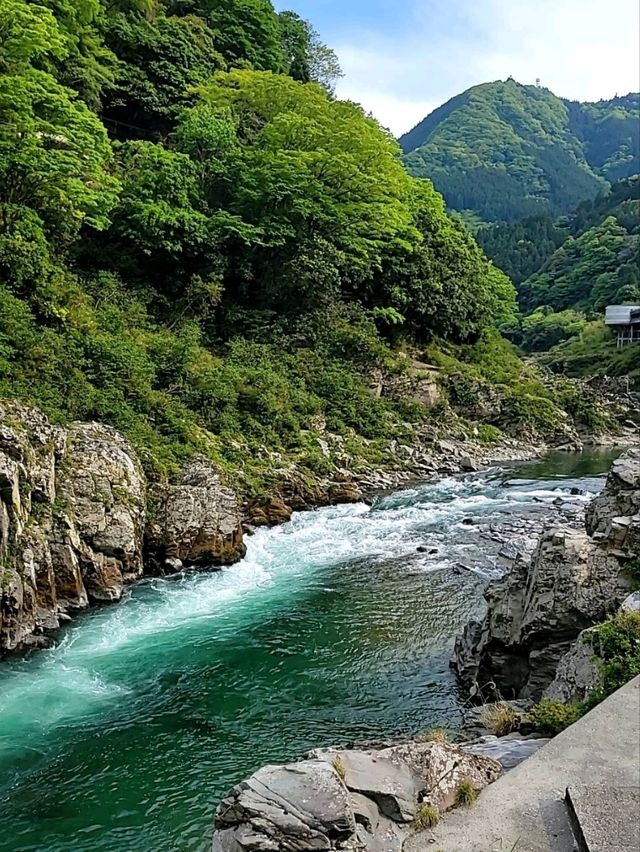 【徳島観光スポットは渦潮だけでない！】