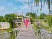 คาเฟ่น่ารัก แกะกะบัว