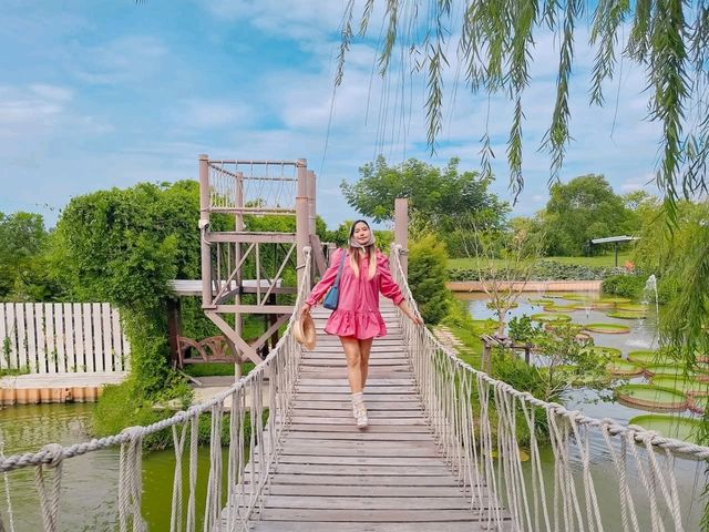 คาเฟ่น่ารัก แกะกะบัว