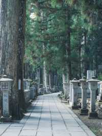 紅葉に包まれる高野山奥之院で神秘の秋を体感