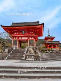 混んでいても行きたい京都の定番【清水寺】