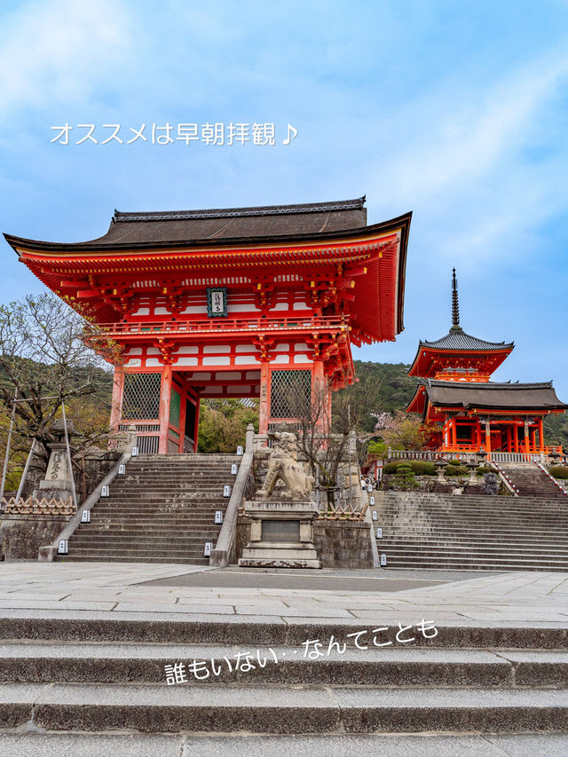 混んでいても行きたい京都の定番【清水寺】