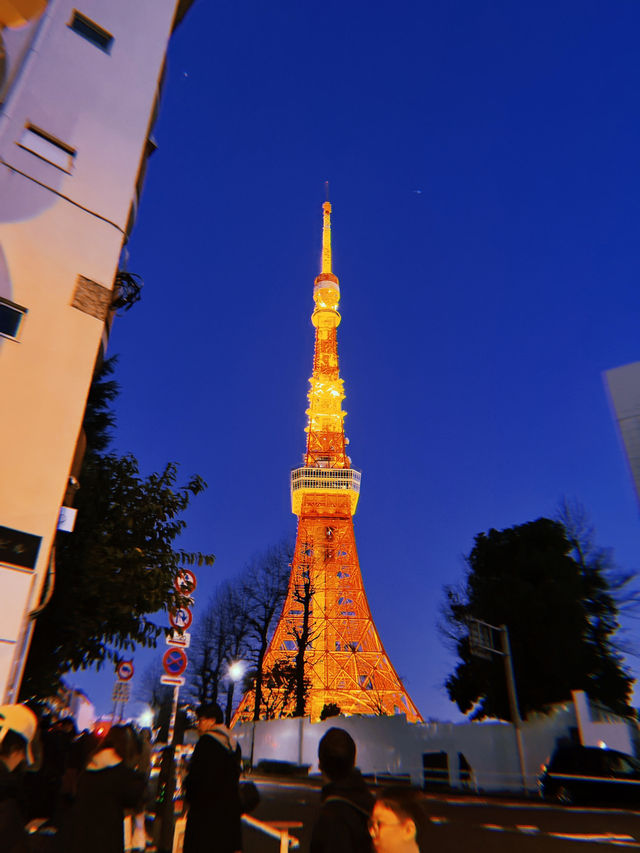 Tokyo 2025 from a season visitor 🗼🇯🇵