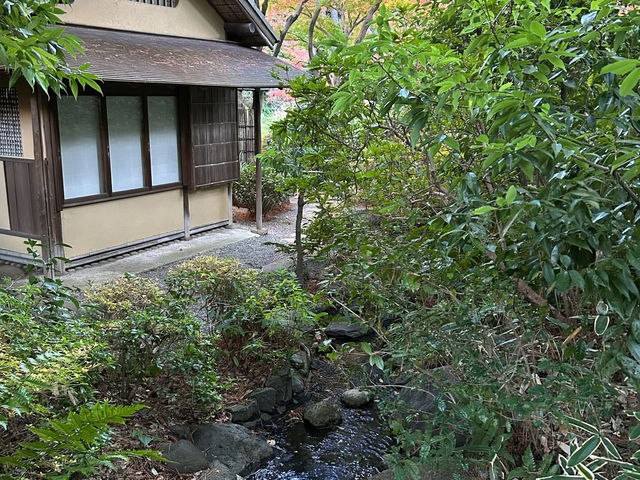 喜歡自在慢遊的夥伴，相信會喜歡「東京庭園美術園」
