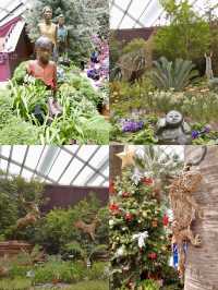 The Nature Enthusiast’s Perspective: A Green Paradise at Garden by the Bay