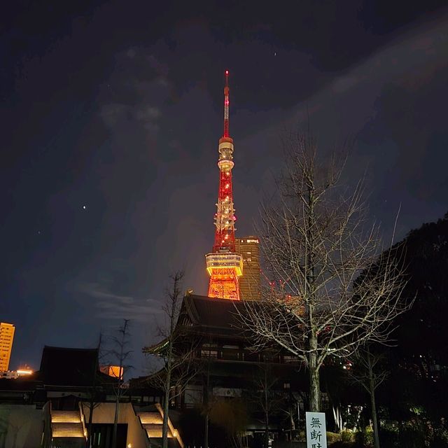 東京タワー夜景散歩：煌めく東京の象徴を巡る旅