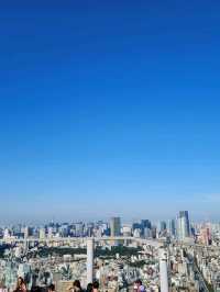 도쿄를 한눈에 볼수 있는 시부야스카이🌃